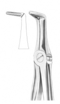  Fig. 45 lower roots 